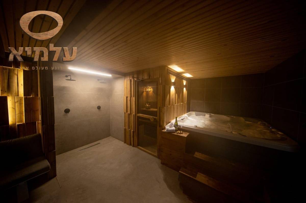 208390 מתחם הספא, וילה עלמיא, וילה  בזנוח וילות - Vila