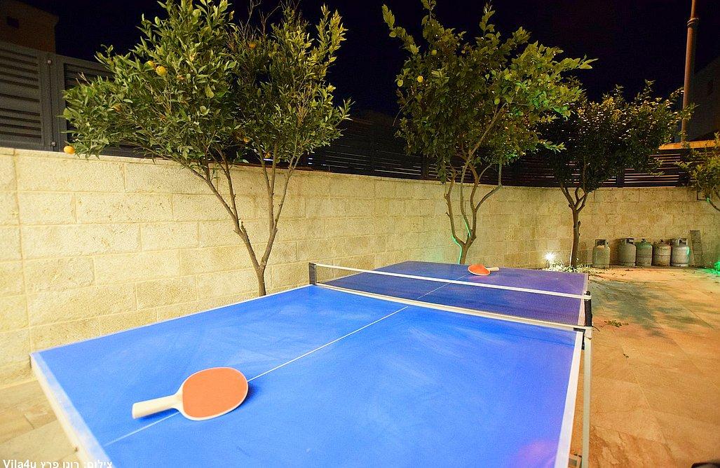 208724 חצר ונוף, וילה נווה שמואל אינדיגו, וילה  בגבעת זאב וילות - Vila