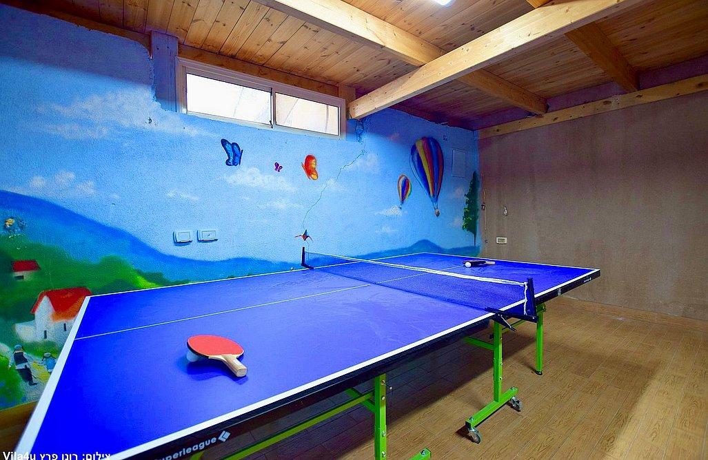 209520 חדר משחקים וחדר האוכל במתחם, וילה סלו מול הכנרת, וילה  בנוף כנרת וילות - Vila