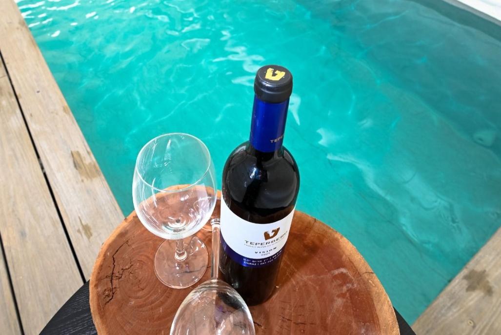 209782 גלריה כללית, וילה לארבל - Villa LaArbel, וילה  במגדל וילות - Vila