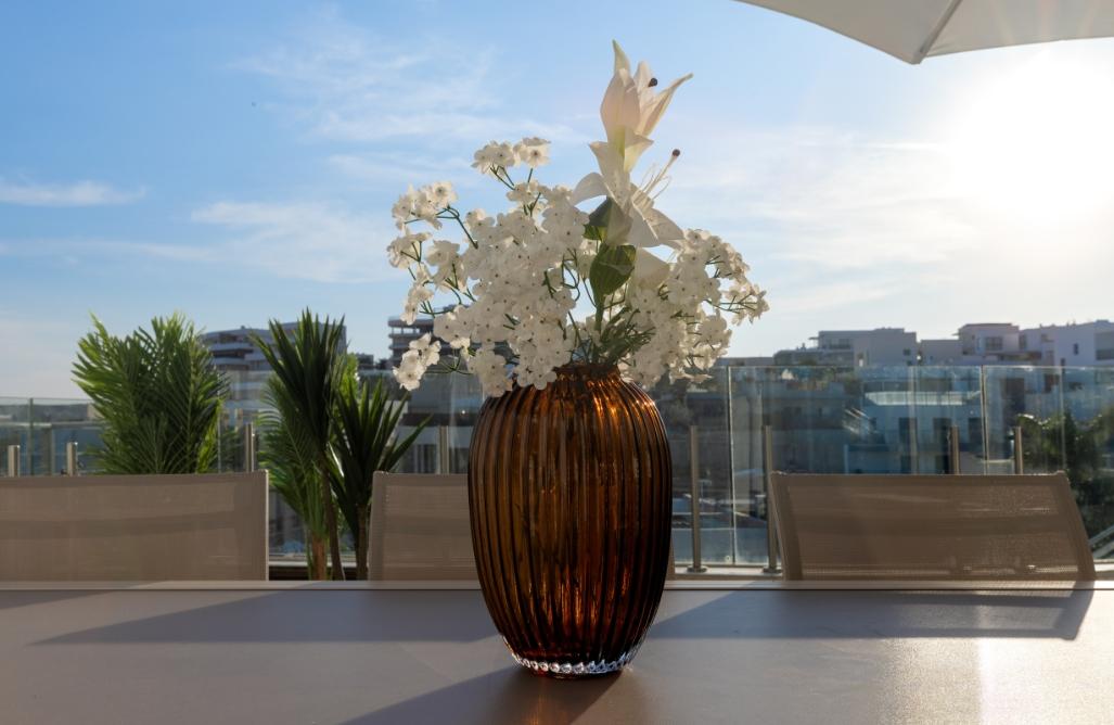 210798 המתחם החיצוני, אחוזת ג'ורדן, וילה  באילת וילות - Vila