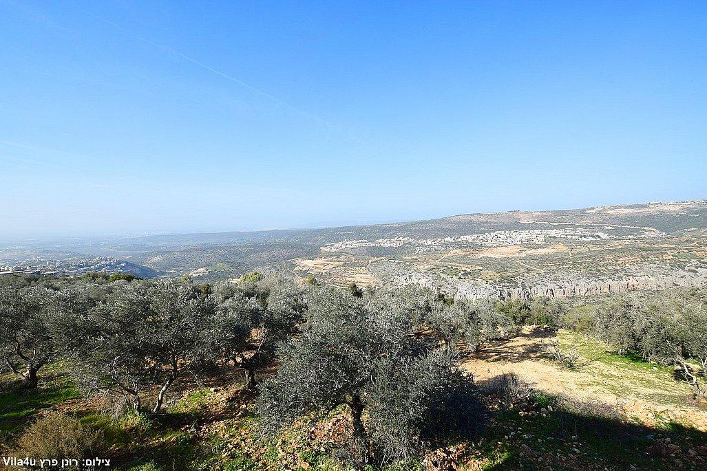 211481 גלריה כללית, וילה טרה ורדה - Terra Verde, וילה  בירכא וילות - Vila