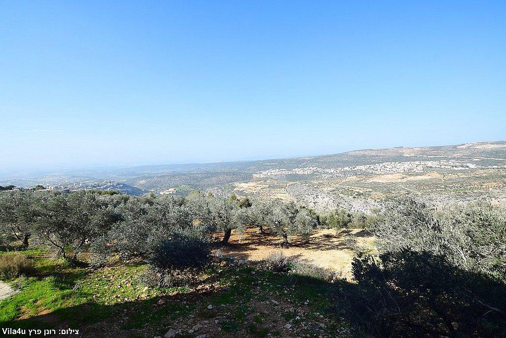 211499 גלריה כללית, וילה טרה ורדה - Terra Verde, וילה  בירכא וילות - Vila