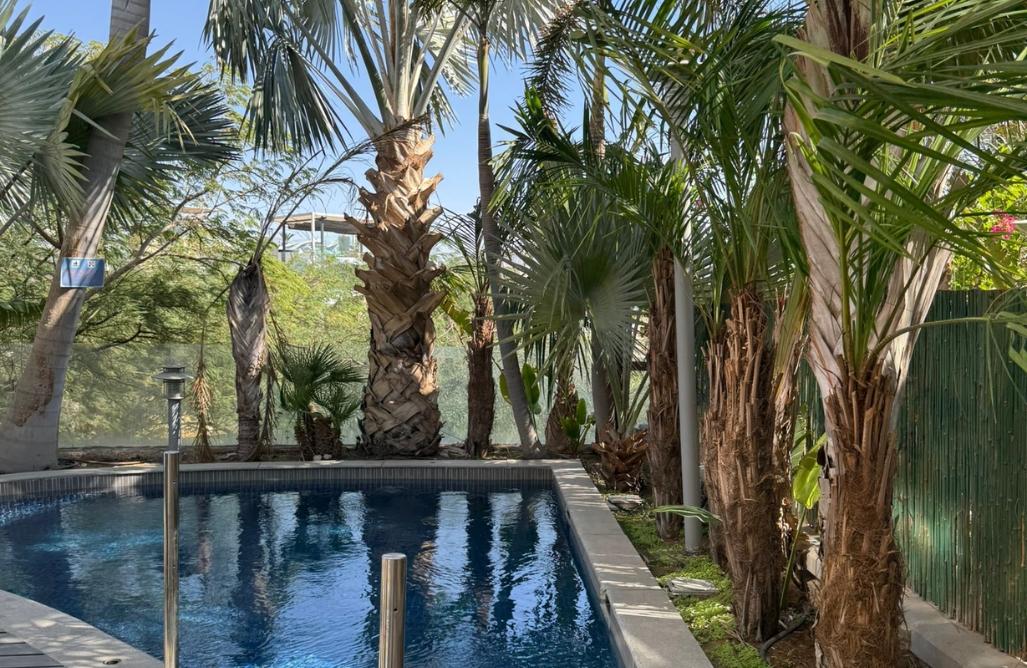 213587 גלריה כללית, וילה אלומת ספיר, וילה  באילת וילות - Vila