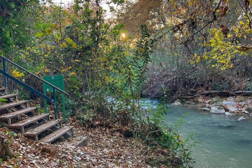 213616 סביבת המקום והנוף, וילה נוף להרים, וילה  בקרית שמונה וילות - Vila