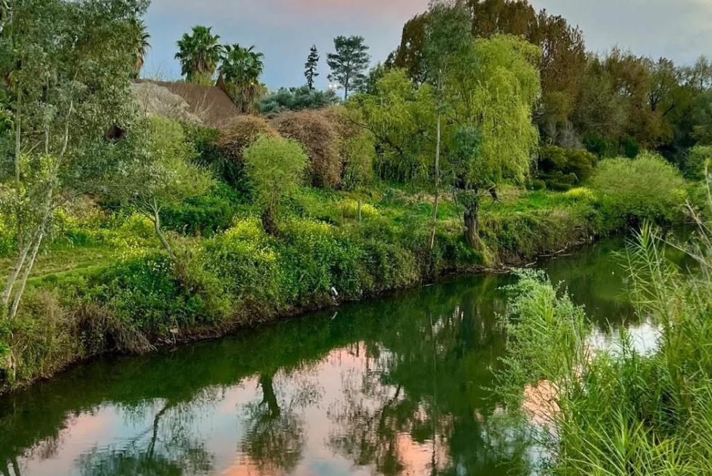213617 סביבת המקום והנוף, וילה נוף להרים, וילה  בקרית שמונה וילות - Vila