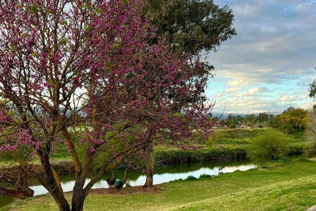 213663 גלריה כללית, וילה נוף להרים, וילה  בקרית שמונה וילות - Vila
