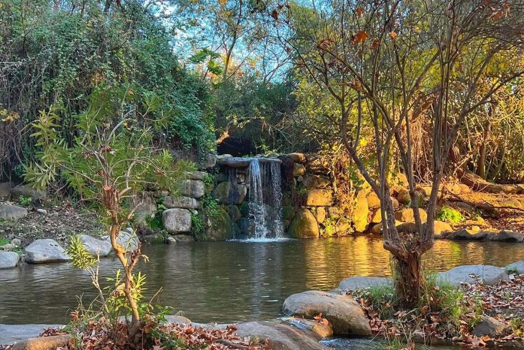 213664 גלריה כללית, וילה נוף להרים, וילה  בקרית שמונה וילות - Vila
