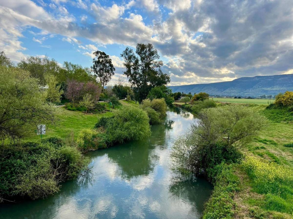 213668 גלריה כללית, וילה נוף להרים, וילה  בקרית שמונה וילות - Vila