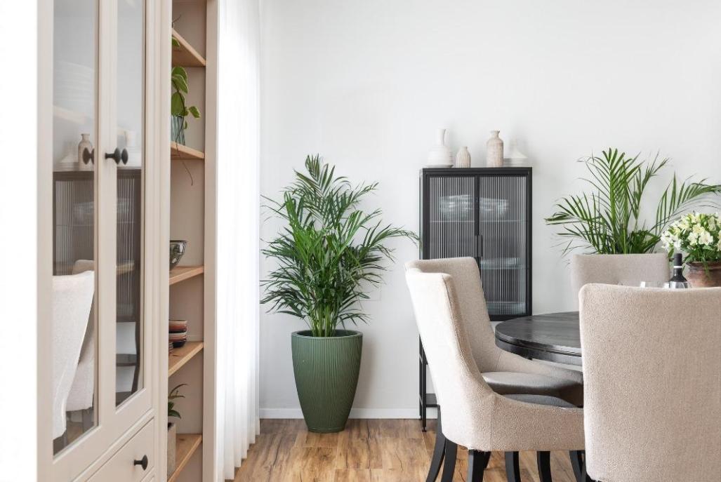 213751 פנים הסוויטות, וילה מעגל השמש, וילה  בפוריה עילית וילות - Vila