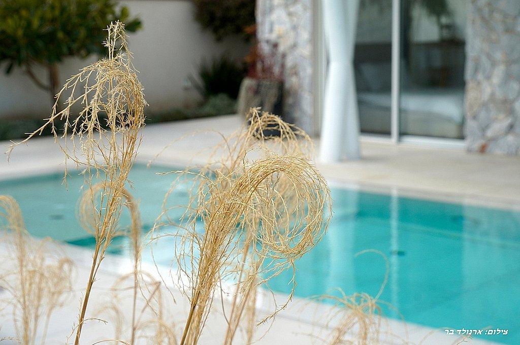 216151 סאן ריזורט - גלריה כללית, סאן ריזורט, וילה  באמנון וילות - Vila