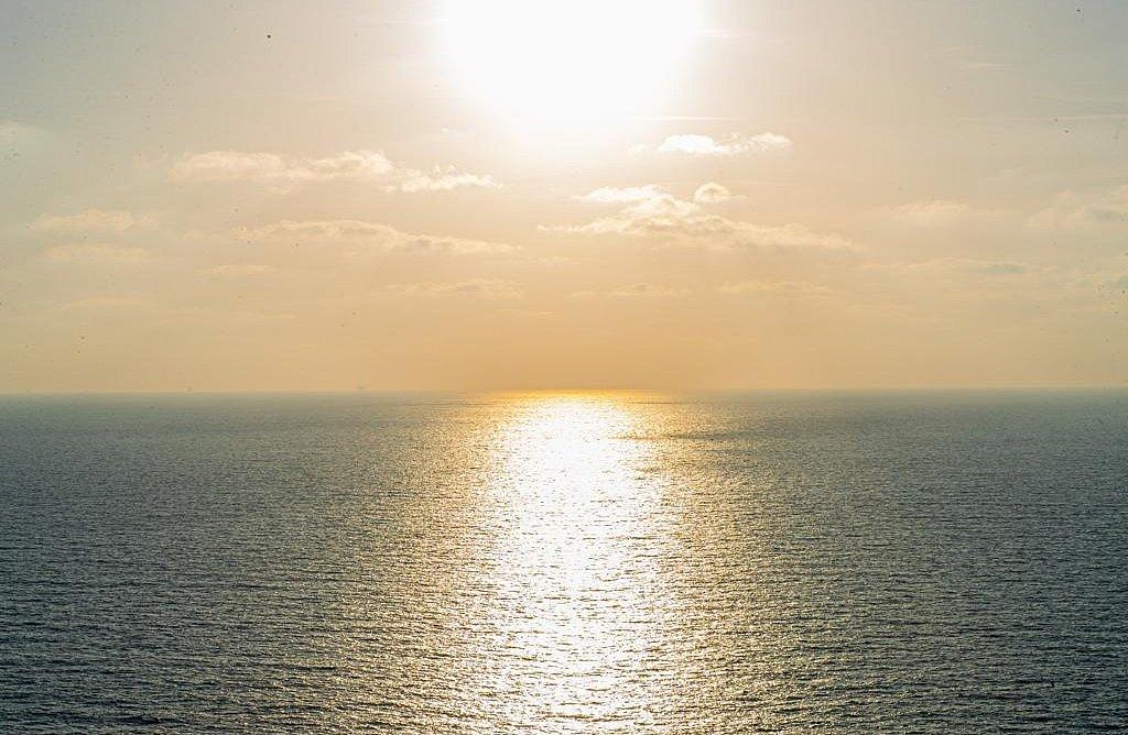 216308 גלריה כללית, פנטהאוז יורו מרינה, וילה  באשקלון וילות - Vila