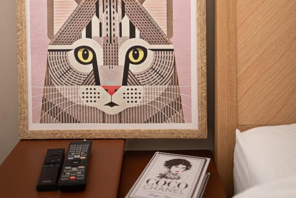 216362 גלריה כללית, פנטהאוז לומינה - קומה 1, וילה  באילת וילות - Vila