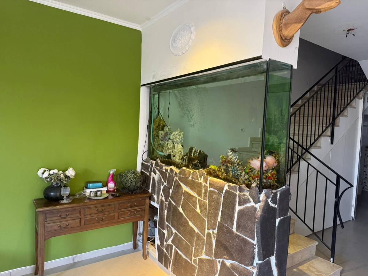 217439 גלרית פנים, סוויטת גן עדן בשרון, וילה  בכפר סבא וילות - Vila