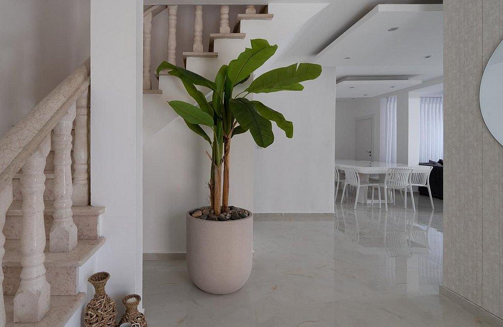 220865 גלרית פנים, וילה רומא אילת, וילה  באילת וילות - Vila