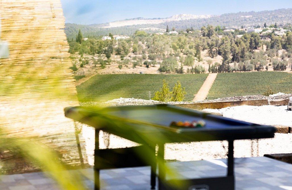 228288 Mr Events - מר איוונטס, Mr Events - מר איוונטס, וילה  בנווה מיכאל וילות - Vila
