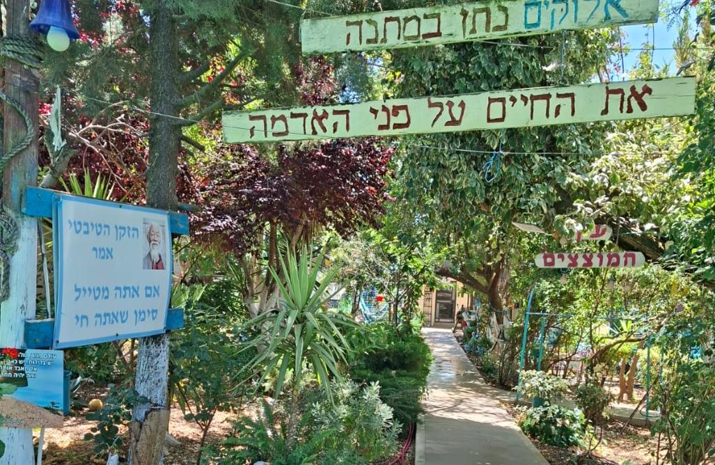 229533 גלריה כללית, אחוזת אנאאל בגליל, וילה  בספסופה וילות - Vila