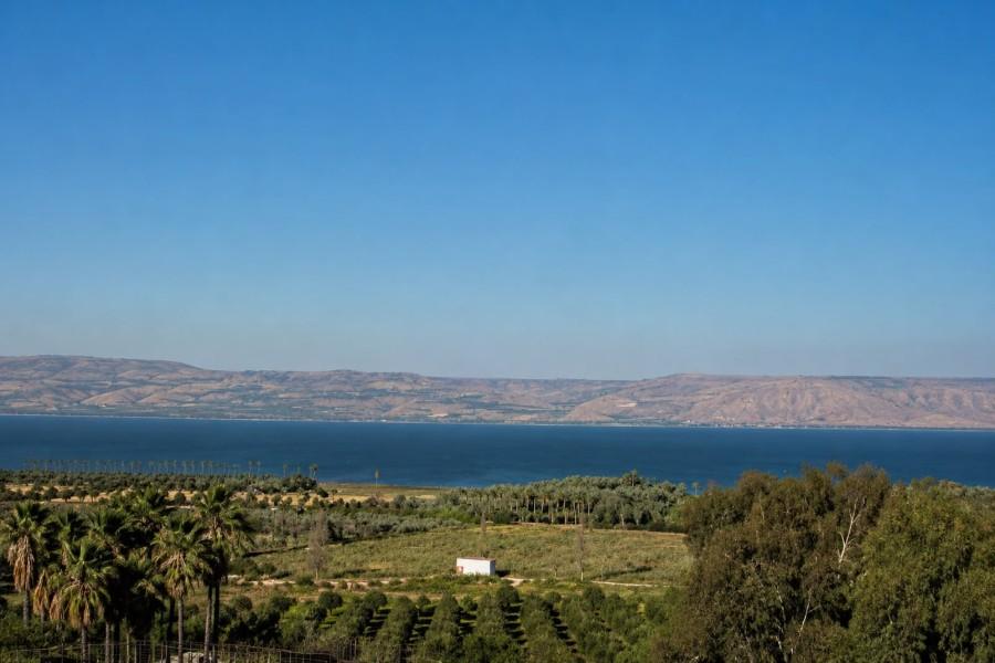 234211 גלריה כללית, נוף הראשונים, וילה  במגדל וילות - Vila
