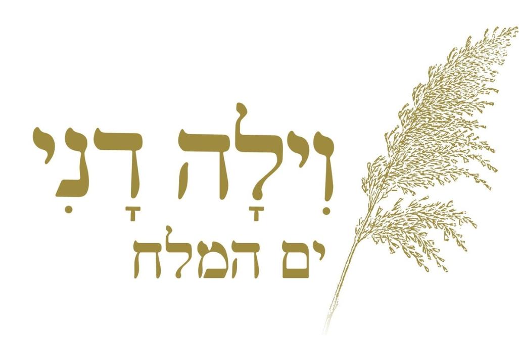 237409 וילה דני - ים המלח, וילה דני - ים המלח, וילה  בים המלח וילות - Vila
