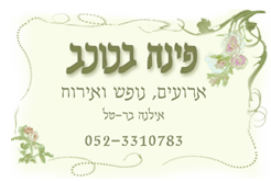 לוגו - וילה פינה בכוכב
