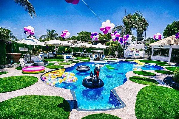 בחצר של אפריים